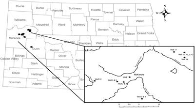 Geochemistry and Microbiology Predict Environmental Niches With Conditions Favoring Potential Microbial Activity in the Bakken Shale